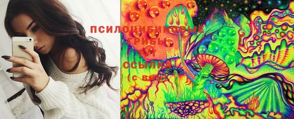 прущие крисы Сатка