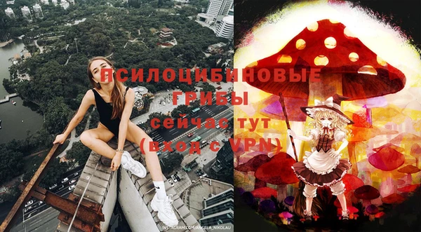 прущие крисы Сатка