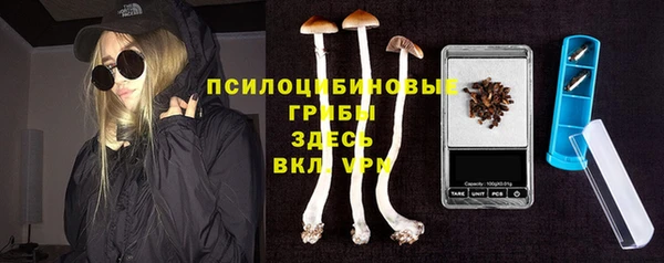 эйфоретик Саяногорск